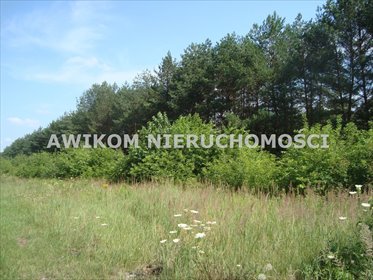 Polecam dużą działkę siedliskową 12 900 m² w Many działka Many