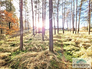 działka na sprzedaż 1350m2 działka Golczewo