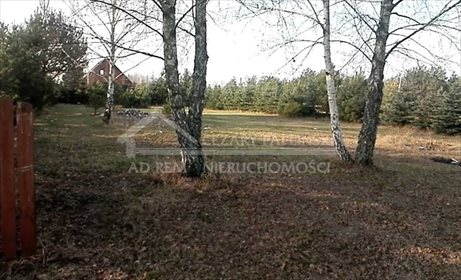 Do sprzedania działka 3000 m² w malowniczej Okunince działka Okuninka, Okuninka