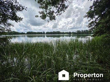 Działki nad Jeziorem Dobskim z linią brzegową polecam działka Gordejki