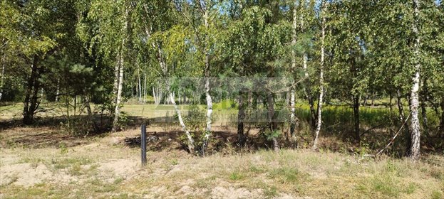 działka na sprzedaż 1500m2 działka Błonie