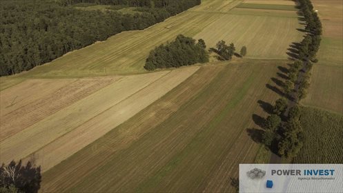 Działka inwestycyjna na sprzedaż Kędzierzyn-Koźle, Cisowa 24 900m2 Foto 4