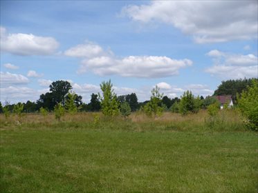 Działka rekreacyjna na sprzedaż Żołędowo 2 000m2 Foto 1