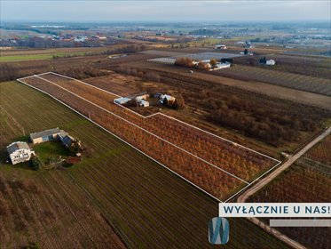 działka na sprzedaż 21802m2 działka Michrów