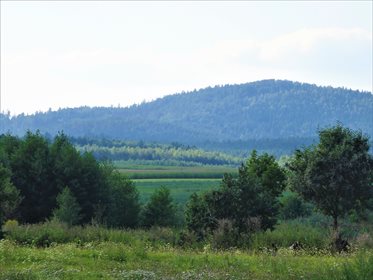 działka na sprzedaż 7500m2 działka Słupice