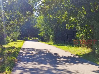 Do sprzedania działka inwestycyjna 6 ha z mediami w Tarczynie działka Tarczyn