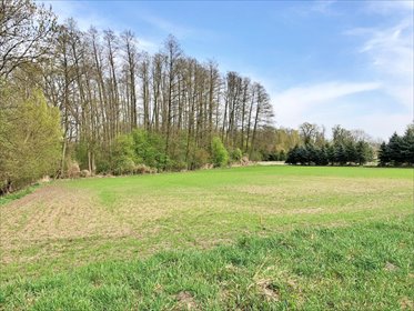 działka na sprzedaż 3287m2 działka Raków