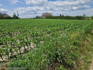 działka na sprzedaż 1257m2 działka Dojazdów