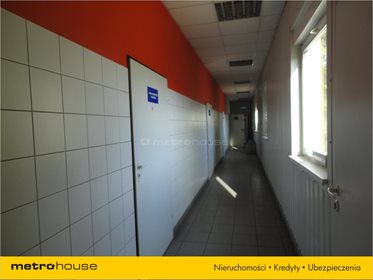 Lokal użytkowy na sprzedaż Siedlisko, Siedlisko 840m2 Foto 4