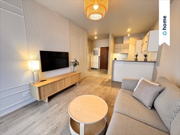 mieszkanie na wynajem 42m2 mieszkanie Katowice, Francuska