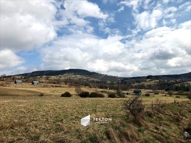 działka na sprzedaż 40489m2 działka Sierpnica, Zielone Wzgórze