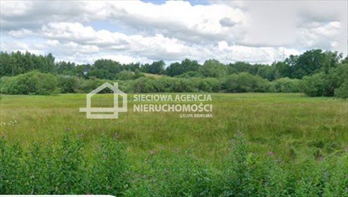 działka na sprzedaż 10800m2 działka Łapino Kartuskie