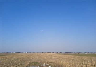 działka na sprzedaż 20700m2 działka Żelazków, Kolonia Skarszewek