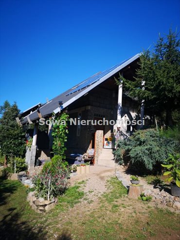 Działka inna na sprzedaż Rybnica 98 300m2 Foto 3