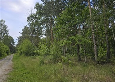Działka 1360 m² Przyłęk - przy drodze asfaltowej z mediami działka Przyłęk
