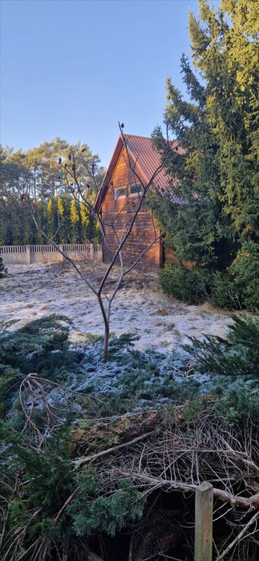 Malownicza działka 3000 m² z hangarem i podziałem działka Czmoniec
