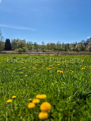 działka na sprzedaż 34741m2 działka Dębowy Gaj