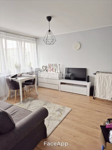 mieszkanie na wynajem 46m2 mieszkanie Szczecin, Centrum, Odzieżowa