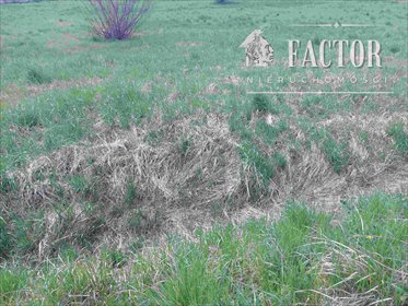 działka na sprzedaż 1800m2 działka Lipinki