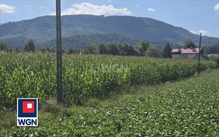 działka na sprzedaż 3218m2 działka Równia