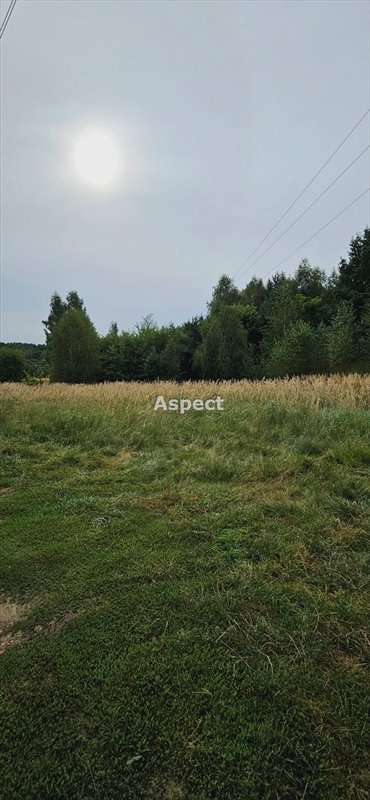 działka na sprzedaż 2226m2 działka Rybnik, Boguszowice Stare