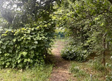 działka na sprzedaż 300m2 działka Częstochowa, Zawodzie - Dąbie, Żelazna