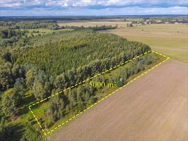 Polecam działkę 5000 m² w Białogórzynie, płaska i z dostępem do drogi działka Białogórzyno