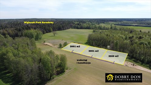 Działka 3001 m² z mediami, las i park w pobliżu działka Krzywe