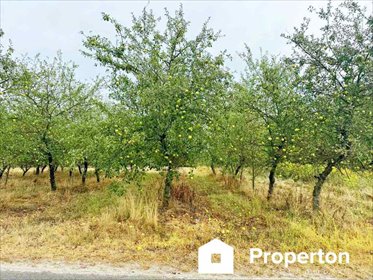 działka na sprzedaż 637m2 działka Kazimierz Dolny, Cholewianka