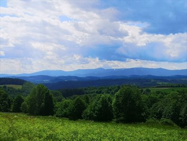 działka na sprzedaż 1066m2 działka Radomice