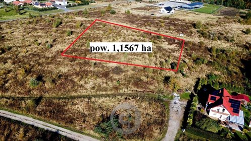 Działka inwestycyjna 11,6 ha z mediami, dojazd utwardzony działka Kłodawa