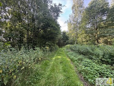 Na sprzedaż trzy działki budowlane 11 arów w Radlnej działka Radlna