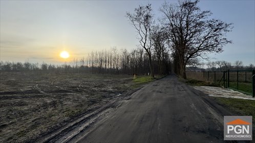 działka na sprzedaż 2002m2 działka Buniewice