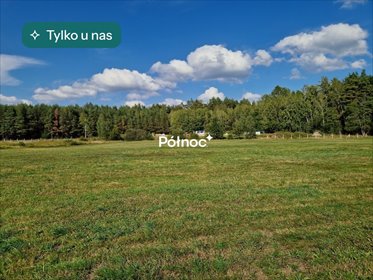 działka na sprzedaż 8022m2 działka Krynickie