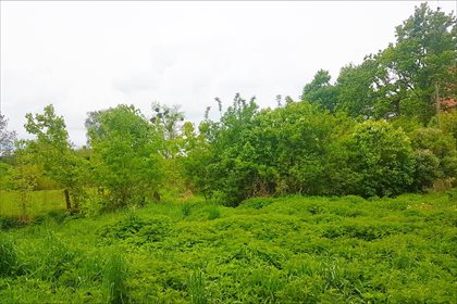 Działka budowlana na sprzedaż Kalwa, Stary Targ 2 100m2 Foto 3