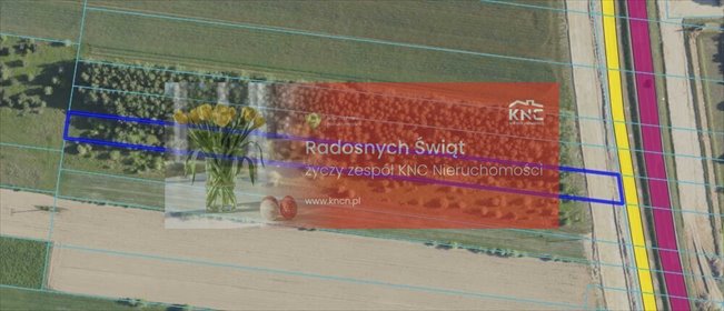 działka na sprzedaż 4010m2 działka Skrobów-Kolonia