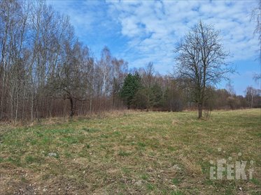 działka na sprzedaż 16765m2 działka Puszcza Mariańska