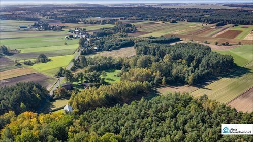 Dom na sprzedaż Dankowice Trzecie 224m2 Foto 3
