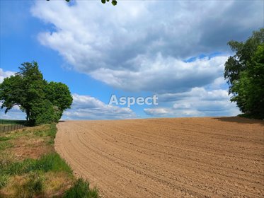 działka na sprzedaż 1179m2 działka Studzionka