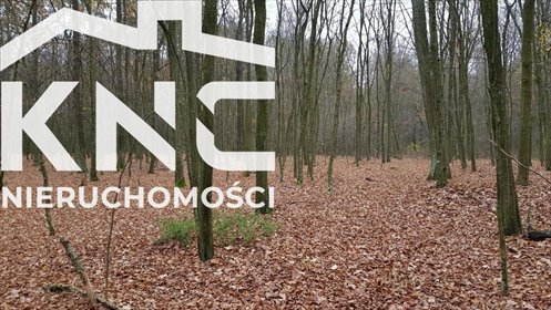 działka na sprzedaż 5800m2 działka Samoklęski