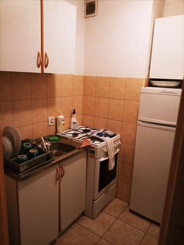 Dom na wynajem Poznań, Stare Miasto, Piątkowo, Wachowiaka 180m2 Foto 4