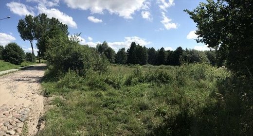 Do sprzedania działka 3682 m² w malowniczych Leleszkach działka Leleszki