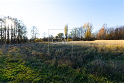 działka na sprzedaż 2000m2 działka Kobylin