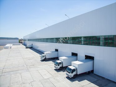 Działka usługowa 17 500 m² przy drodze wojewódzkiej działka Jaktorów