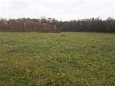 Działka budowlana na sprzedaż Piątkowiec 11 400m2 Foto 4