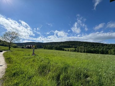 działka na sprzedaż 10252m2 działka Stronie Śląskie