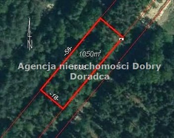Działka leśno-budowlana 1050 m² w Ojrzanowie zapraszam działka Ojrzanów