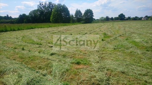 Działka 2209 m² z warunkami zabudowy i mediami. działka Grodzisk Mazowiecki