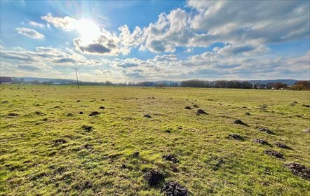 działka na sprzedaż 33600m2 działka Reda