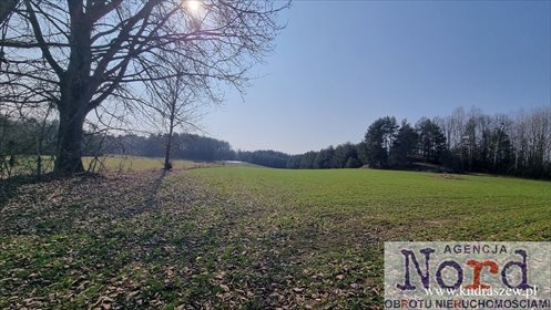 Działka siedliskowa 10580 m2 z zabudową i mediami działka Kopczany